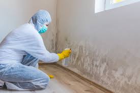 Professional Mold Removal Services in Cudahy, CA